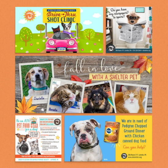 5 different social media images for Action For Animals Humane Society: Drive-Thru Shot Clinic, Newspaper appeal, Fall themed Facebook cover, Pet Food Star fundraiser and request for dog food.